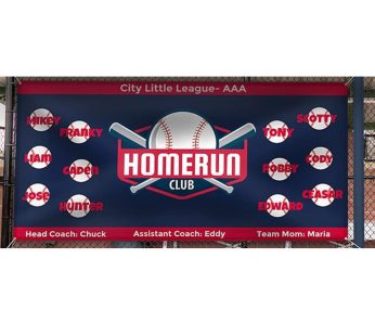 Blue Homerun Banner